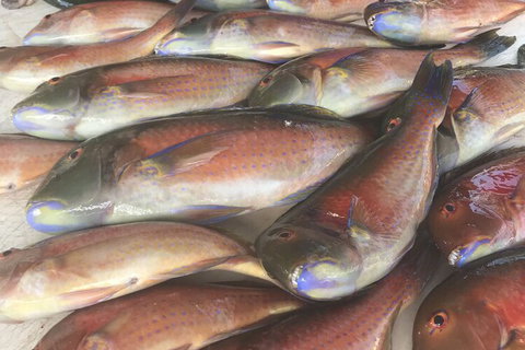 DRIFTWOOD - Stayed 5