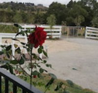 Silverbirch Cottage Loch - Stayed