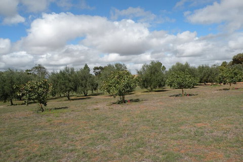 Thalia Getaway Villa - Stayed 2