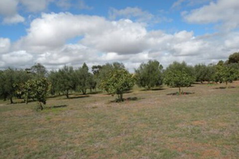 Thalia Getaway Villa - Stayed 3