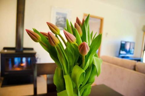 Growlers Creek Lodge - Stayed 1