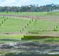 Yea Woodduck Cottage - Stayed