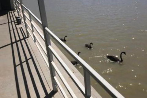 Murray River Queen - Stayed 1