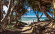 18A Childe Street Belongil Beach Belongil Beach Pavilion House - thumb 3