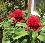 The Summit House - Stayed