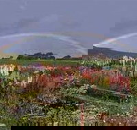 Boat Harbour Garden Cottages - Stayed