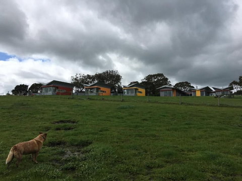 Lush Pastures - Stayed 1