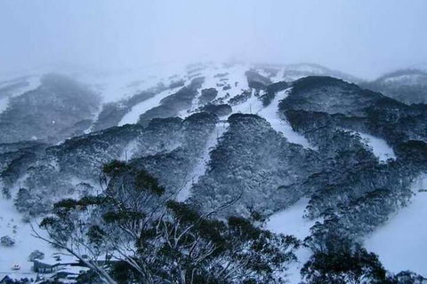 Winterhaus Lodge - Stayed 2