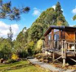 Southern Forest Accommodation - Stayed
