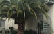 Brunswick Tower Hotel - thumb 0
