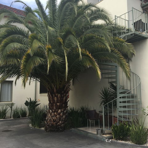 Brunswick Tower Hotel - Stayed 0