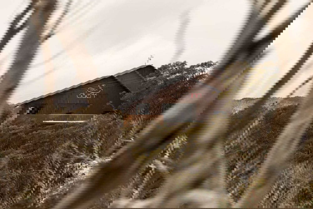 Mount Buller VIC Stayed