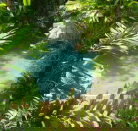 Palm Cove Tropic Apartments - Stayed