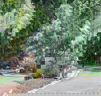 Oasis at Palm Cove - Stayed