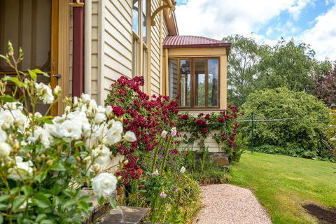 Cambridge House - Stayed 4