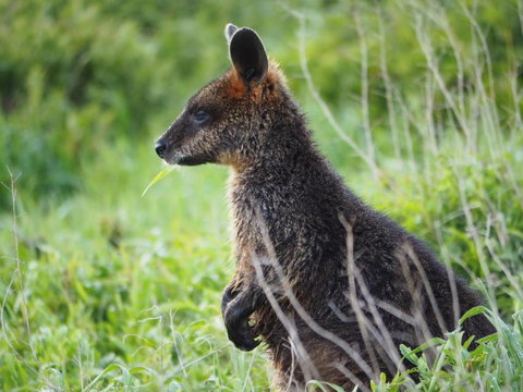 Douglas Riverside - Stayed 1