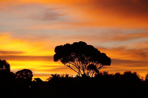 Lindsays Of Kangaroo Island - Stayed 0