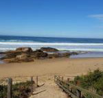 Bellbird Cottage B  B - Stays Accommodation