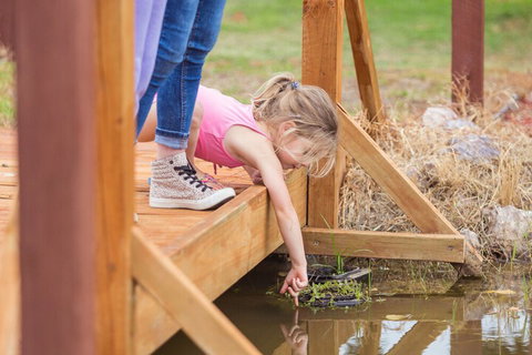 Tindarra Resort - Stayed 5