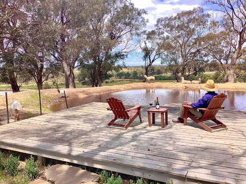Gilgraves Vineyard Farmstay - Stayed 6