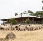 Gilgraves Vineyard Farmstay - Stayed