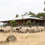 Gilgraves Vineyard Farmstay - Stayed 0