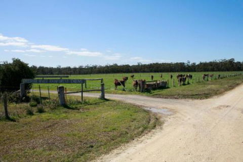 Brodribb River Rainforest Cabins Cabin 3 - Stayed 7