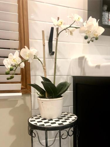 SEAeSCAPE Apollo Bay - Stayed 4