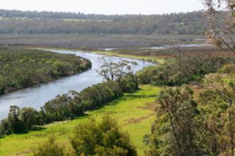 Brodribb River Rainforest Cabins Cabin 1 - Stayed 4