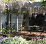 Windrush BnB Comboyne Australia - Stayed