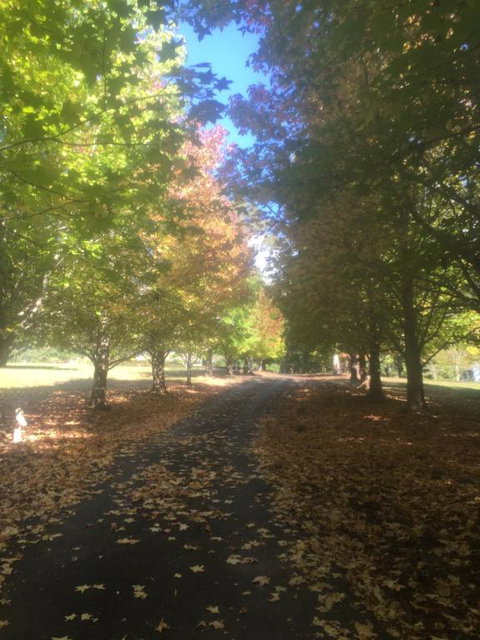 A Peaceful Cabin In The Country - Stays Accommodation 2