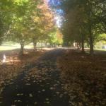 A Peaceful Cabin In The Country - Stays Accommodation 0