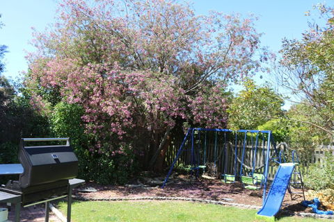 Sisters Beach Paradise - Stayed 3