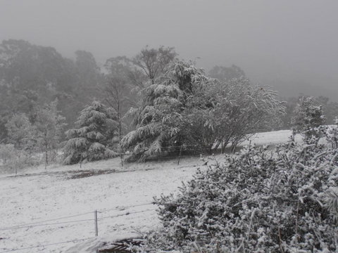 Springmead Rustic Cabin - Stayed 6