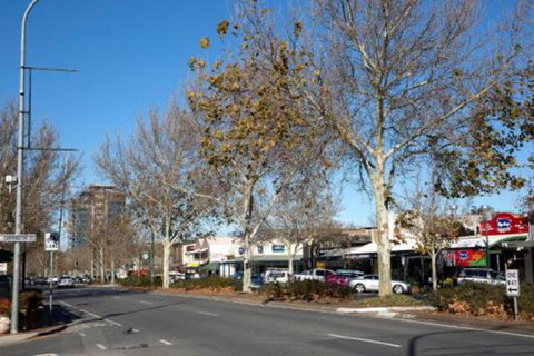 Carrington Charm CBD WiFi Parking - Stays Accommodation 4