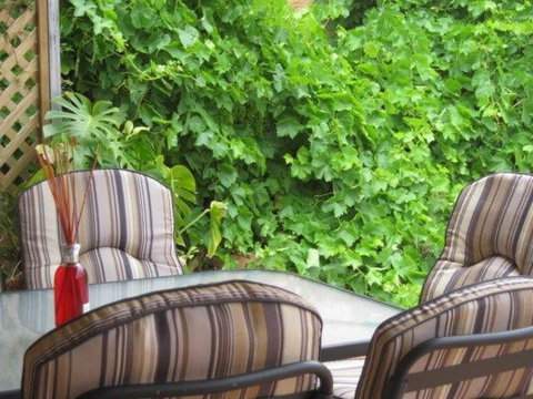 Amalie Cottage Waikerie Unit 1 - Stays Accommodation 6