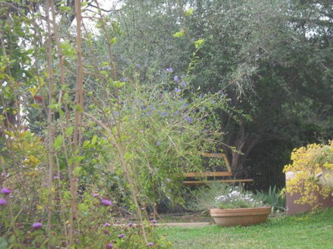 Amalie Cottage Waikerie Unit 1 - Stays Accommodation 5