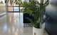 Adelaide Airport Motel - thumb 0