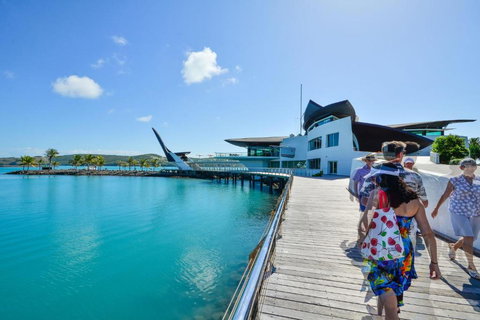 Yacht Club Villa 33 Serenity 4 Bedroom 4 Bathroom House Ocean Views 2 Buggies - Stays Accommodation 4