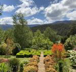 Delderfield Cottages - Stayed