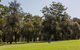 Golfers Retreat Mollymook - thumb 0