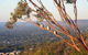 Kingsview Belair Apartment Grand Views Of Adelaide - thumb 4