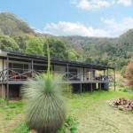Cabbage Tree Farm Seclusion & Tranquillity! - Stayed 0