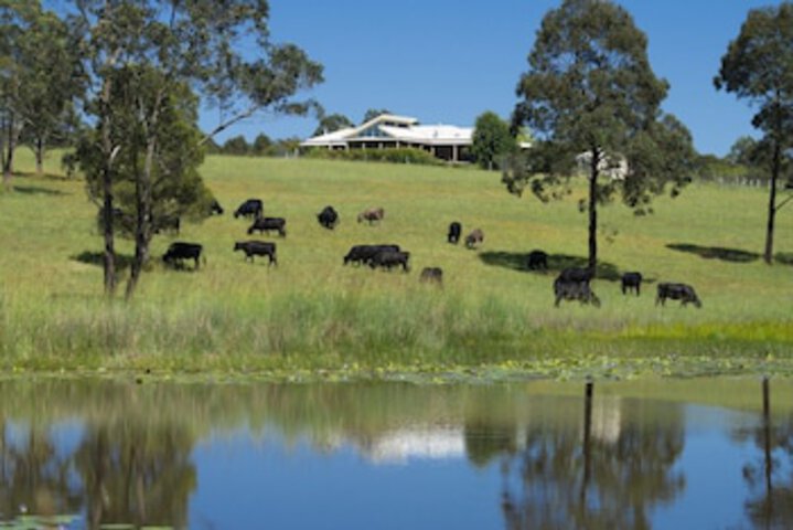 Wang Wauk NSW Stayed