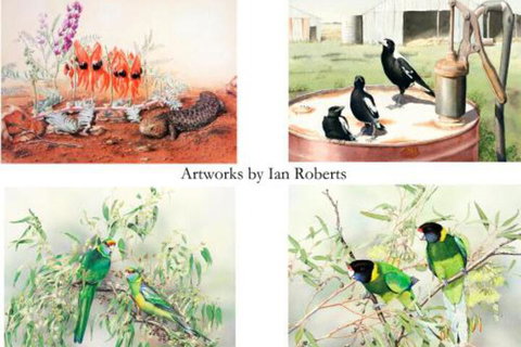 Windmill Cottage - Stayed 3