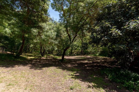 Belair National Park Holiday Park - Stayed 2
