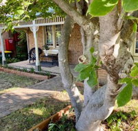 SUMMER HOUSE CENTRAL LOCATION Near PARK - Stays Accommodation
