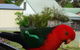 Glasford Crescent 7 KIOLOA - thumb 6