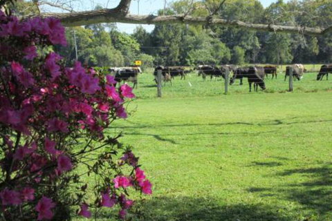 Greenfields - Stayed 2