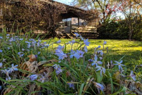 Alexander Cottage - Stays Accommodation 3